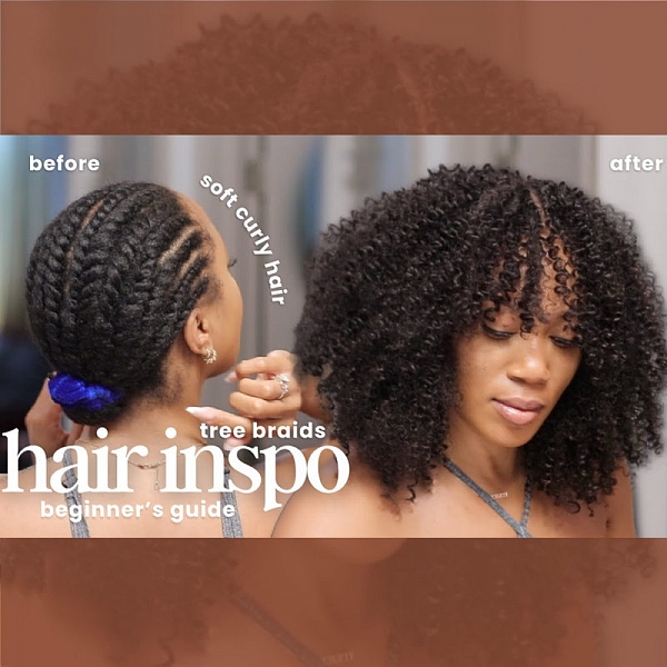 Tree Braids vs Crochet Braids,Which Should You Choose?